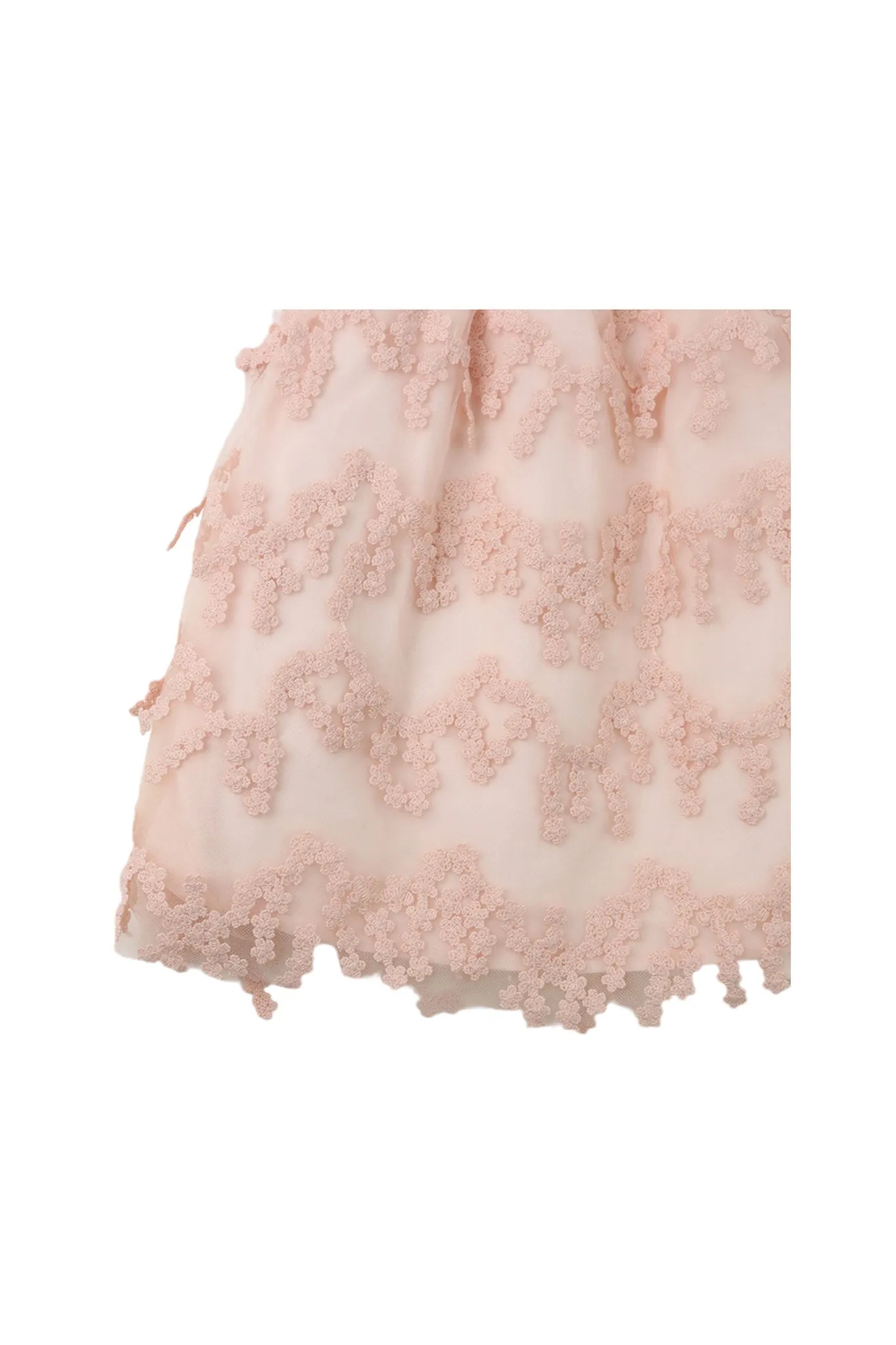 Gingersnaps Floral Fringes Tulle Dress